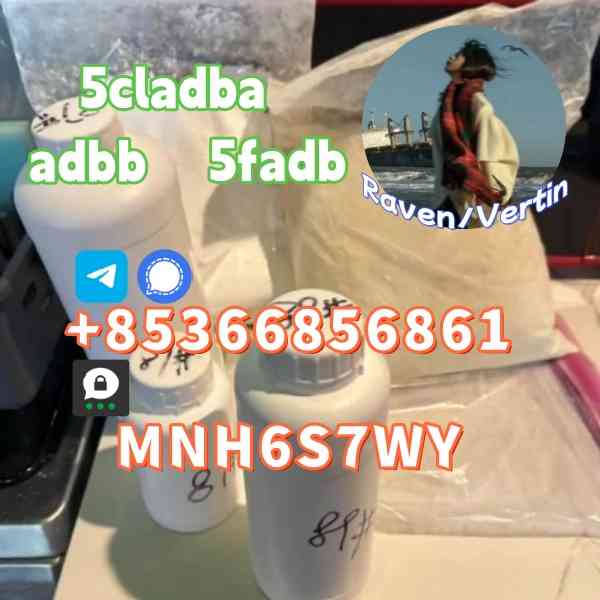 5cladba precursor adbb powder 5fadb raw material supply